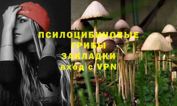 первитин Кукмор